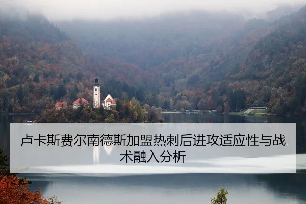卢卡斯费尔南德斯加盟热刺后进攻适应性与战术融入分析